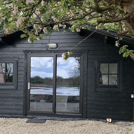 The Cosy Cabin By The Shore 골웨이 외부 사진
