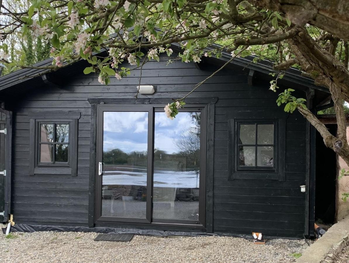 The Cosy Cabin By The Shore 골웨이 외부 사진